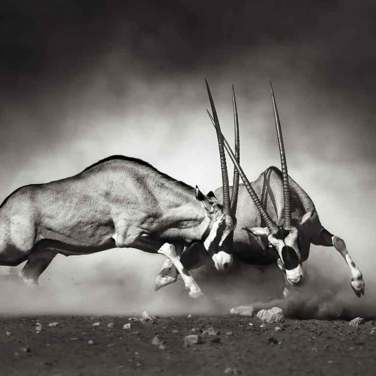The Duel - Wall Mural 5493 - 8 Panel - 384cm x 260cm — Image 3