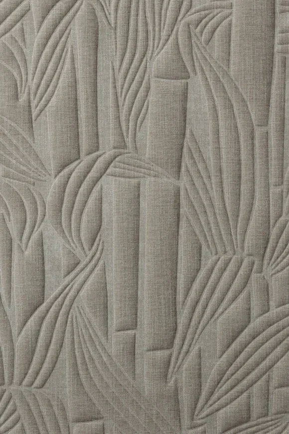 Bambusa Taupe — Ảnh 2