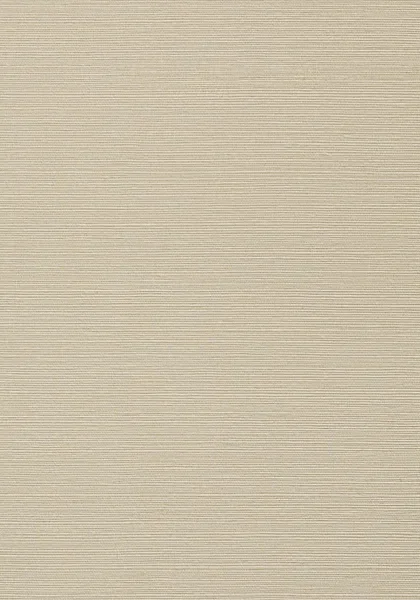 Taluk Sisal Wallpaper T75146 — Ảnh 2