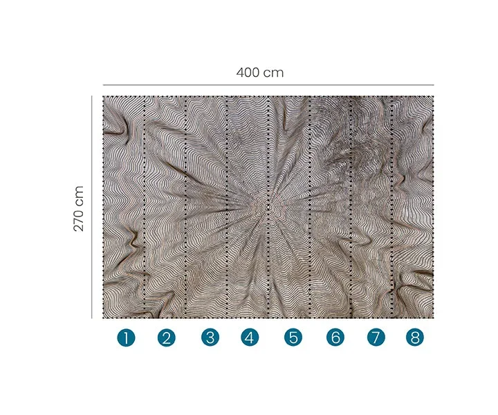 Zoom Digital Wallpaper Wall Mural - 2514N11 — Ảnh 3