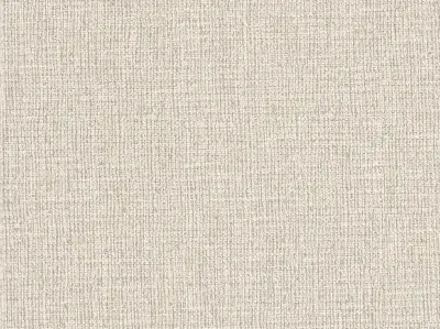 Weave — 20071611