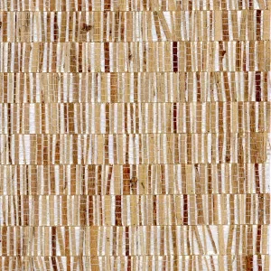 Fringe Oyster — Ảnh 3