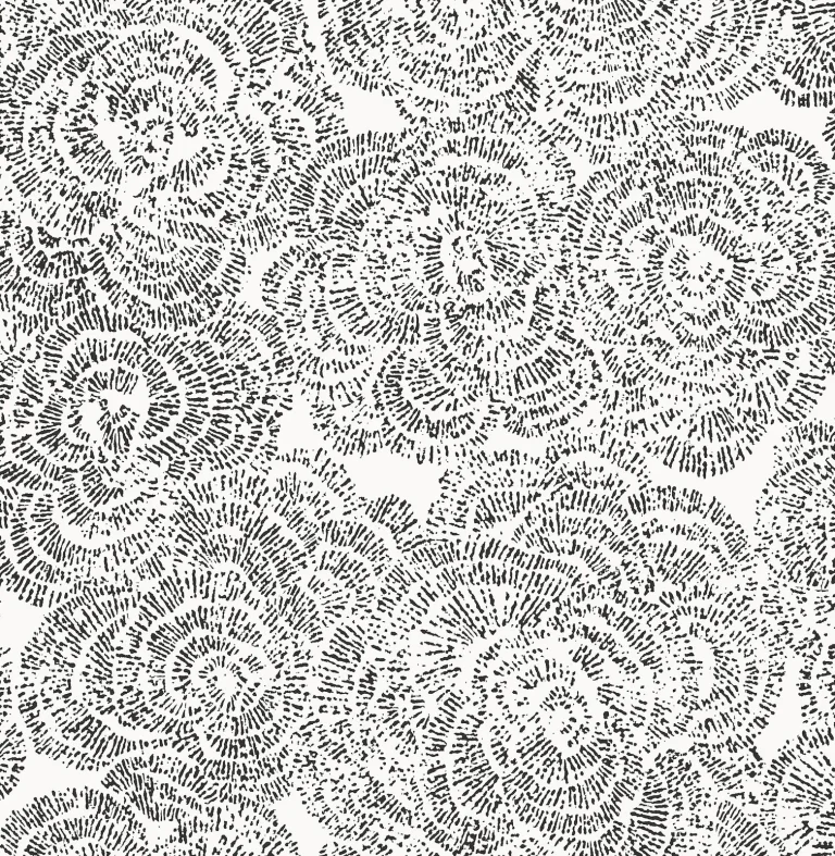 Ambroise Abstract Floral Wallpaper - Black — Ảnh 5