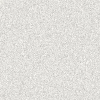 The Basic - White Beige Tone PT.02
