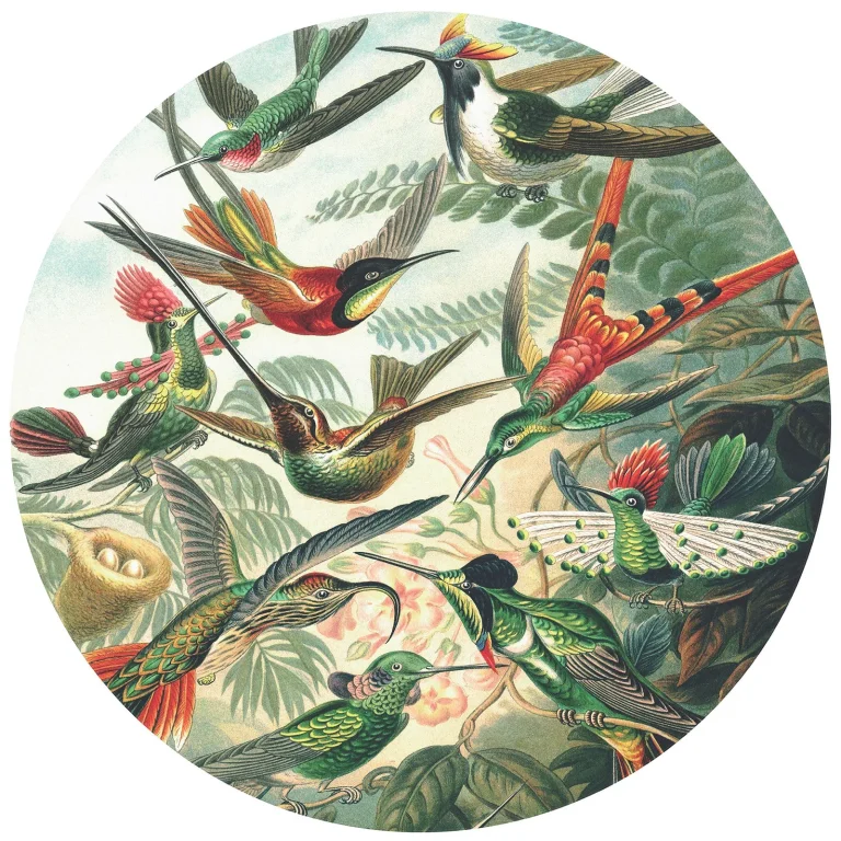Colourful Hummingbirds - Wall Mural 5530 - 4 Panel - 192cm x 260cm — Image 3