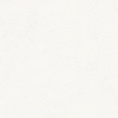 The Basic - White Beige Tone PT.01