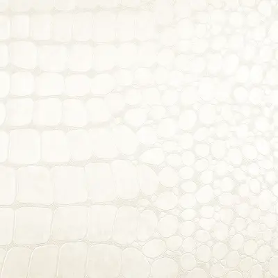 Vinyl Crocodile Rock