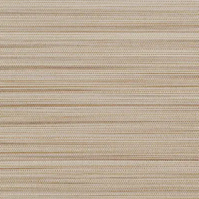 Vinyl Strie