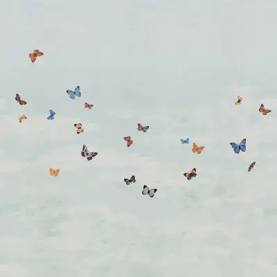 Digital Murals Butterfly Sky