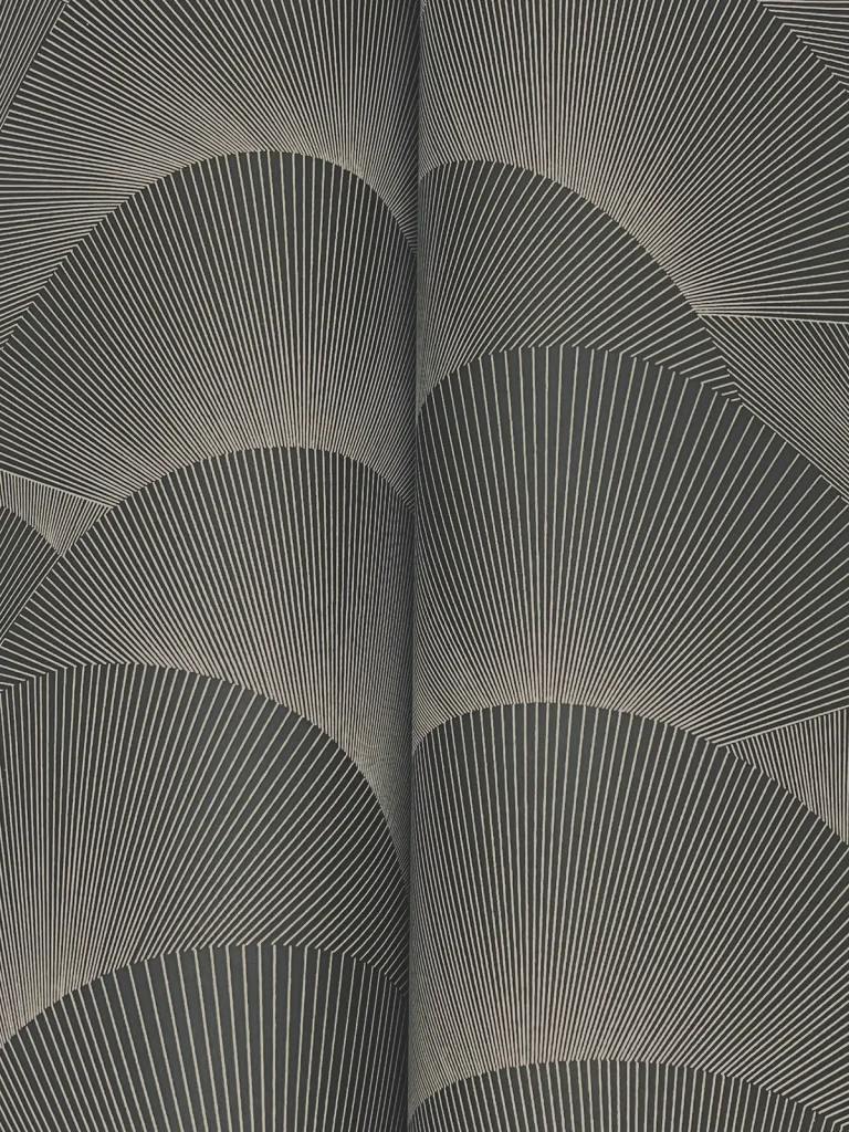 Ronald Redding Morning Shell Wallpaper - Black & Grey — Ảnh 4