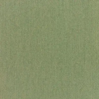 CANVAS FEM
