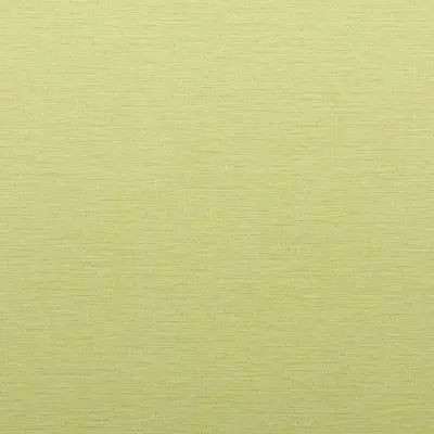 Vinyl Canvas Linen
