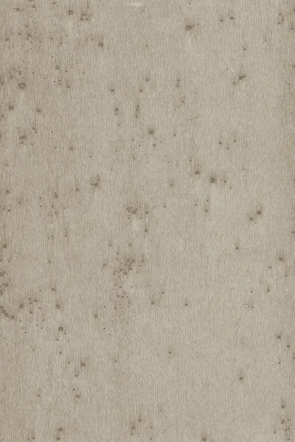 Stellar 37508A — Ảnh 2