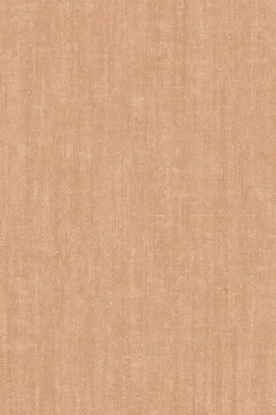 Terre De Lin — Tatami