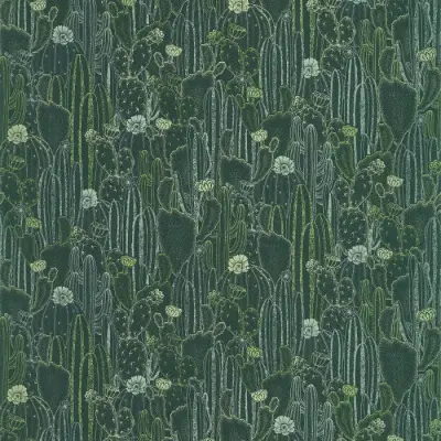 Botanica Cactaceae