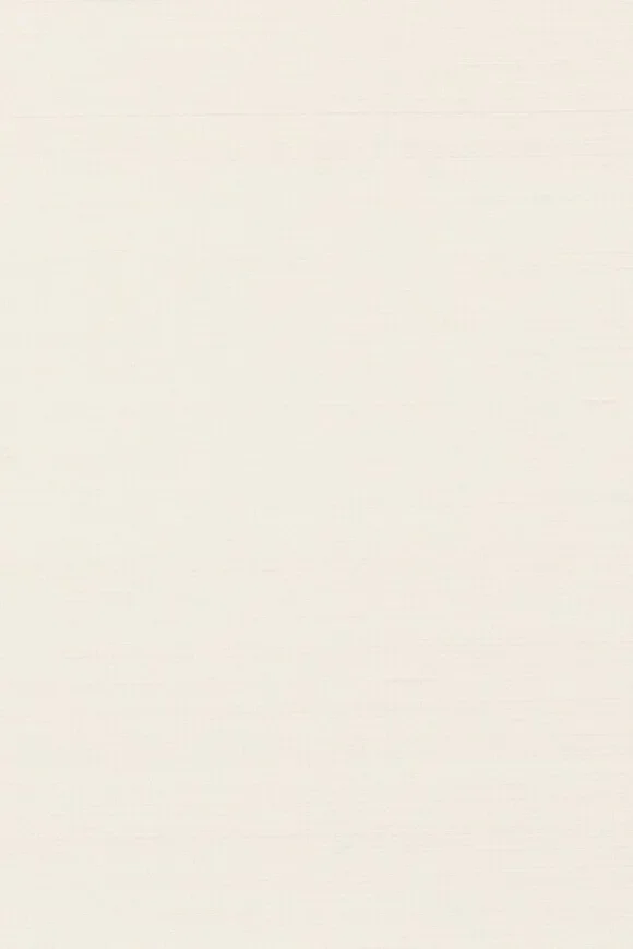 Papillon Cloth — Ảnh 2