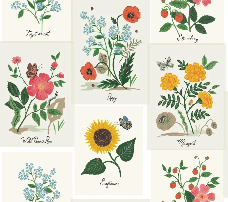 Rifle Paper Co. Botanical Prints Wallpaper - White — Ảnh 3