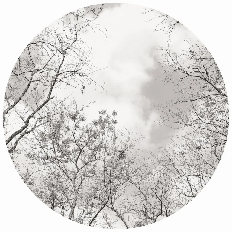 Tree Tops - Wall Mural 5434 - 4 Panel - 192cm x 260cm — Ảnh 6