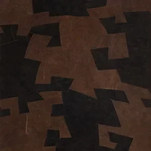 Black Brown Bark / 3001 PAN. 134 — Ảnh 6