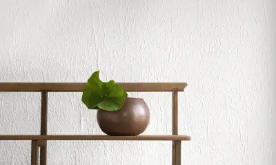 Splendeurs D'une Favorite WASHI-1