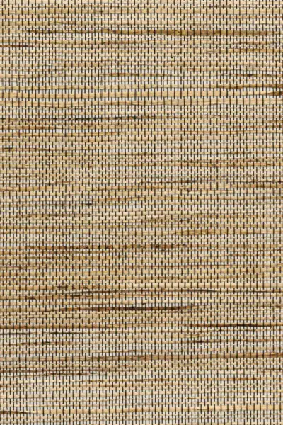 Sambe — Natural White