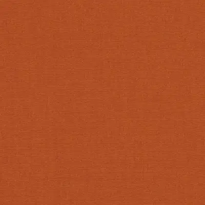 CANVAS RUST