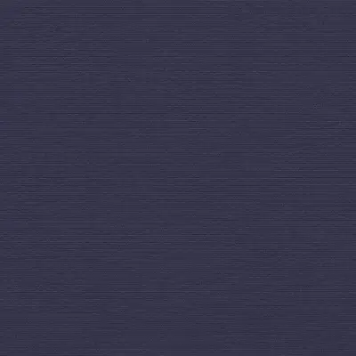 CAPTAIN NAVY
