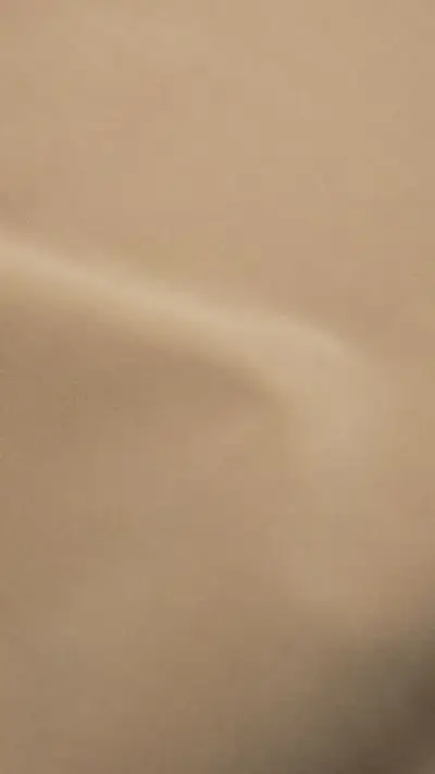 Bonario Jade Upholstery Fabric - 904