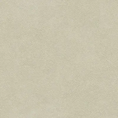 The Basic - Greyish Tone PT.2