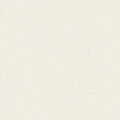 The Basic - White Beige Tone PT.02