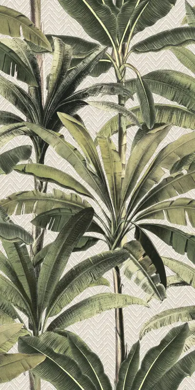 Palmera — Palmera 11140