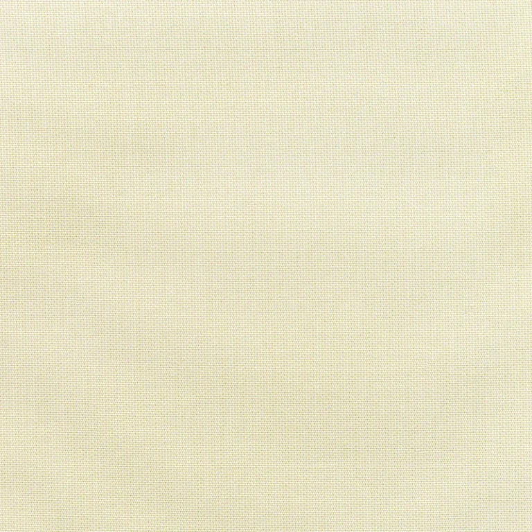 CANVAS BIRDS EYE
