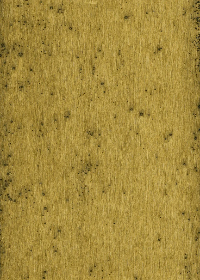 Stellar 37517 — Ảnh 4