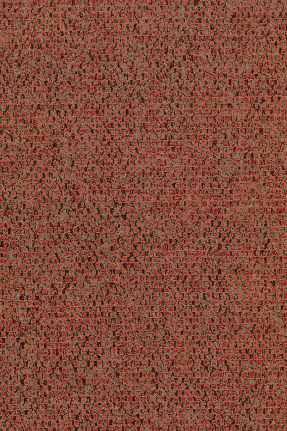 Nelson Chilli - 91558C — Ảnh 2