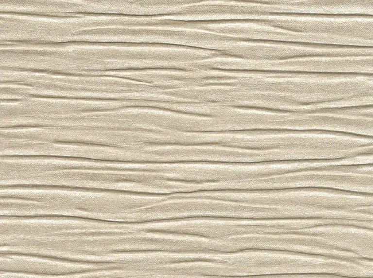 Wrinkles 20041404 — Ảnh 2