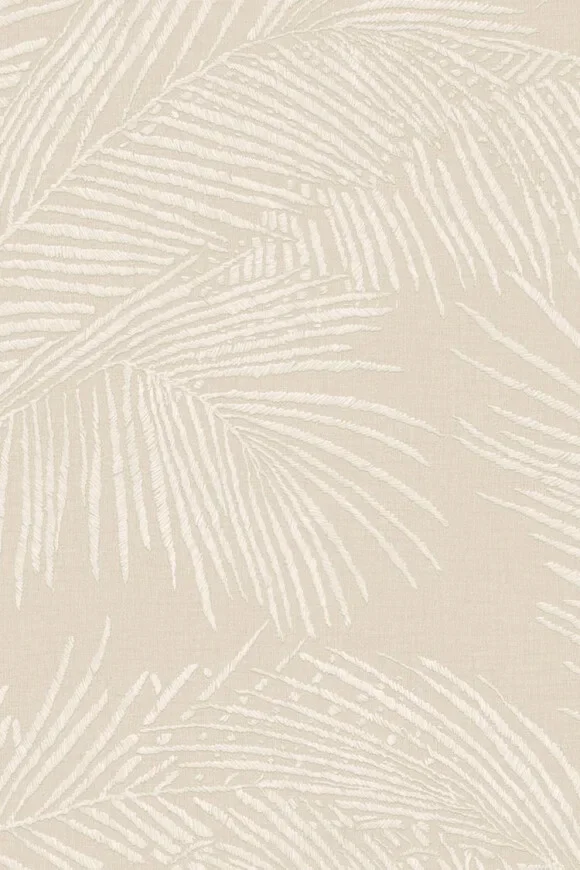 Maui Gnocchi — Ảnh 2