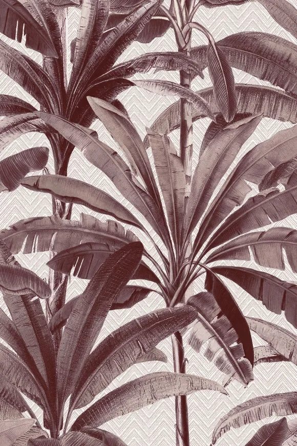 Palmera 11141 — Image 2