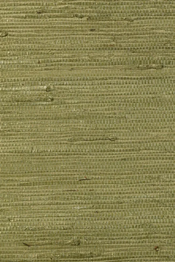 Kudzu Olive — Image 2