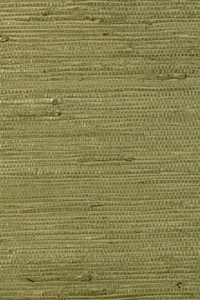 Kudzu — Olive