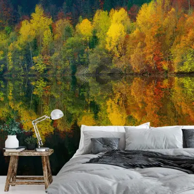 Autumn Forest Lake - Wall Mural 5067 - 8 Panel - 384cm x 260cm