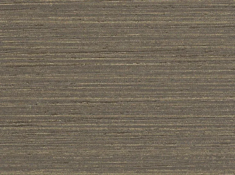 Star Stripe 20041417 — Ảnh 2