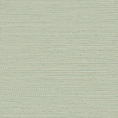 ZOSTERA 75972446
