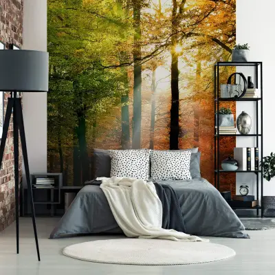 Golden Autumn - Wall Mural 5483 - Round - 144cm diameter