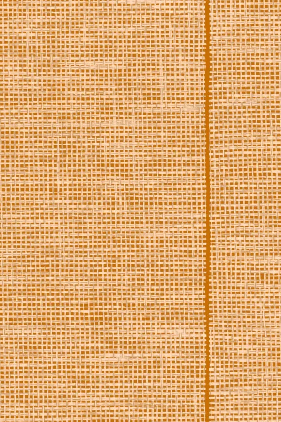 Le Raphia Tissé Mandarine — Ảnh 4