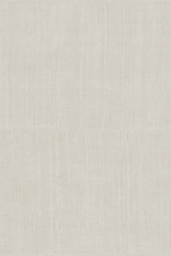 Katan Silk Grege - 11509 — Ảnh 2