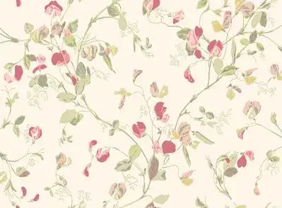 Sweet Pea Archive Anthology S100 6028