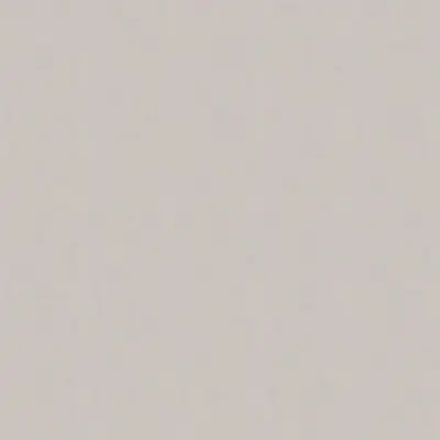 CANVAS SILVER GREY