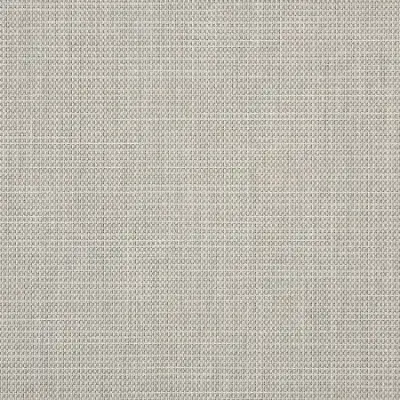 ALLOY SILVER