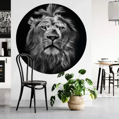 Lion - Wall Mural 5488 - Round - 144cm diameter