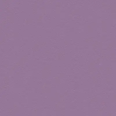 The Basic - Purple Red Tone
